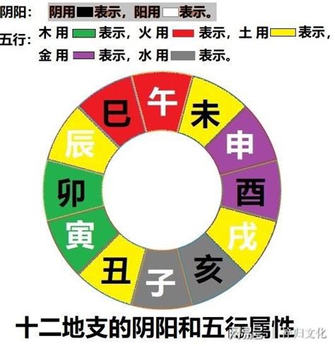 辰的五行|【辰的意思五行】點進來！一招秒懂「辰」的五行屬性與意涵